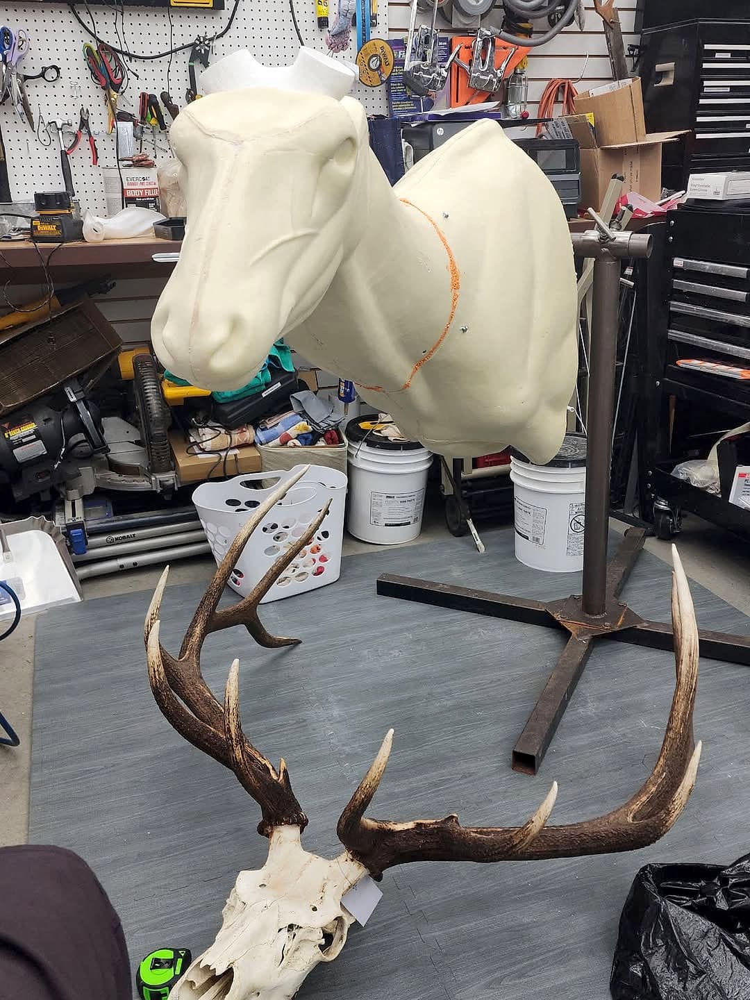 Custom stand holding a taxidermy mount